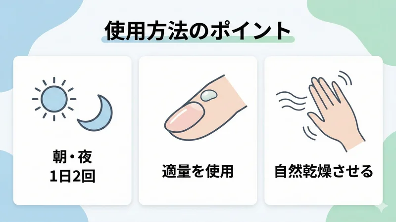 使用方法のポイント